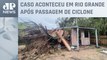 Homem morre após queda de árvore sobre casa no Rio Grande do Sul, diz Defesa Civil
