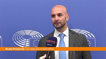 Ue, Procaccini "La legge sulla natura è ambientalismo da salotto"