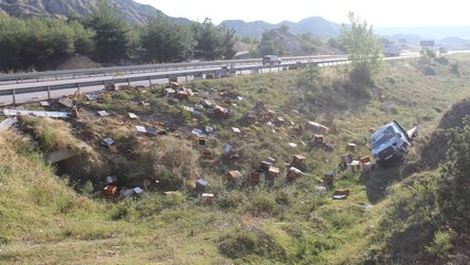 Arı yüklü kamyonet devrilince ekipler yaralı sürücüye müdahale edemedi