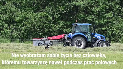 Lublin. Bogdanka Akcja Bociany