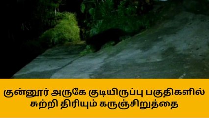 நீலகிரி: கருஞ்சிறுத்தை உலா-பரபரப்பு சிசிடிவி காட்சி வெளியீடு!
