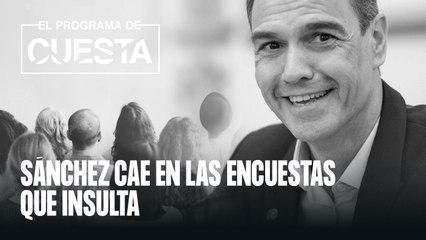 Sánchez cae en las encuestas que insulta