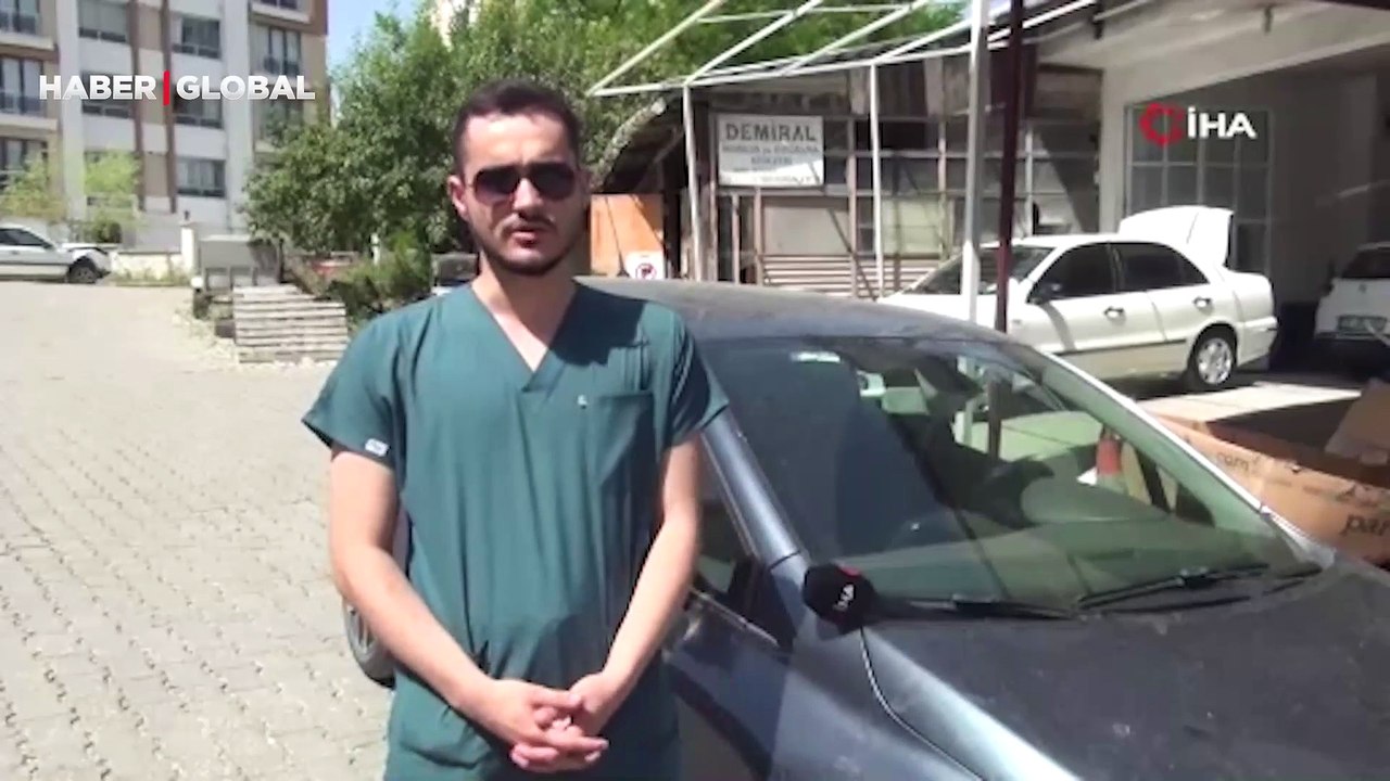 Veteriner hekimin otomobilini başıboş köpekler parçaladı, görüntüleri izleyince şoke oldu!