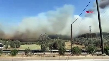 Milas'ta makilik yangını, ormana sıçradı