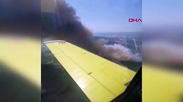 Milas'ta makilik yangını, ormana sıçradı