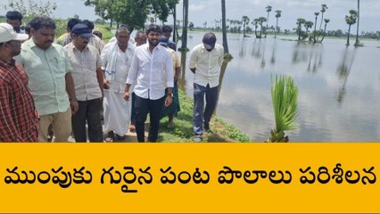 మచిలీపట్నం: ముంపుకు గురైన పంట పొలాలు పరిశీలన