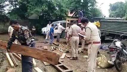वन विभाग के उडऩदस्ते की बड़ी कार्रवाई, खेत में बनी झोपड़ी में 117नग सागौन चिरान पकड़ी