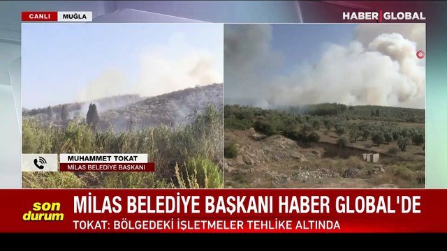 Muğla Milas'ta makilik yangını, ormana sıçradı