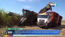 AUMENTO EN COSTOS Y CAÍDA EN LA PRODUCCIÓN DE AZÚCAR, PRESIONARÁN PRECIOS DE INDUSTRIA PANADERA Y DE BEBIDAS DULCES