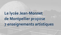 Présentation des enseignements artistiques du lycée Jean-Monnet de Montpellier