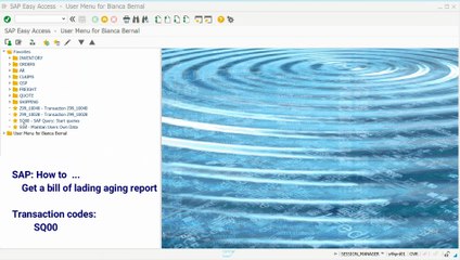 BC Get a bill of lading aging report