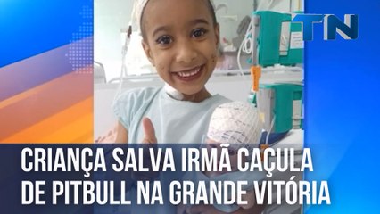 Criança salva irmã de pitbull na Grande Vitória