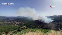 Balıkesir Dursunbey'deki orman yangını kontrol altına alındı