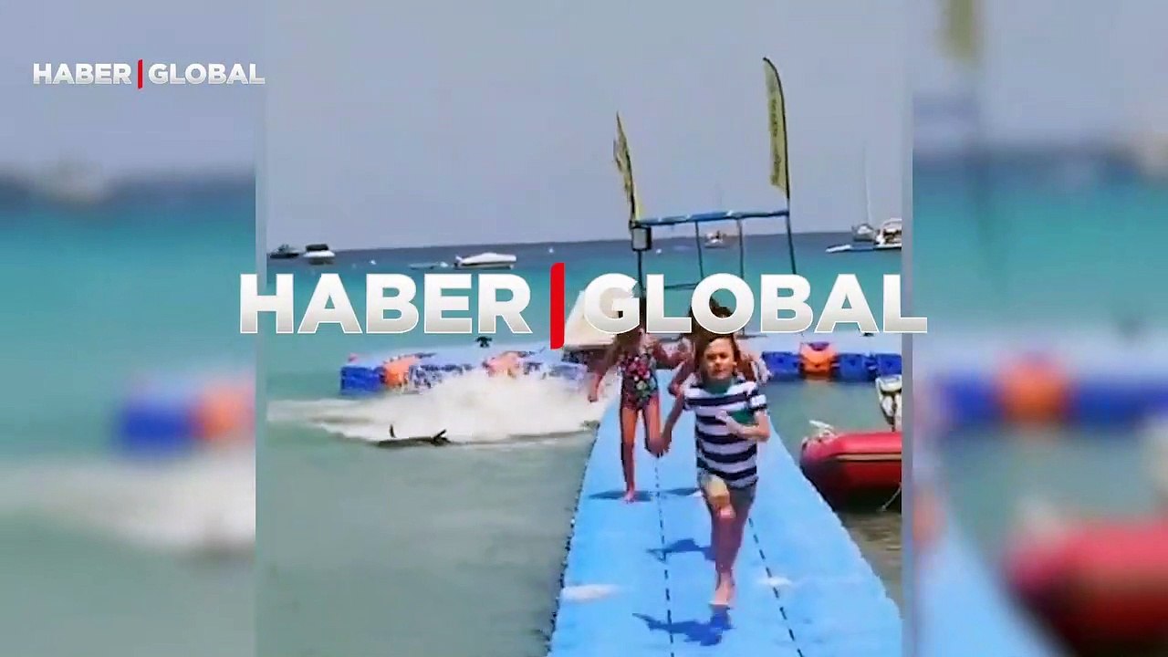 Çığlık çığlığa kaçış kamerada! Köpek balığı insanlara korku dolu anlar yaşattı