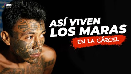 ¿VIOLACIÓN DE DERECHOS humanos o justicia contra LOS MARAS?