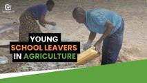 Burkina Faso: Young school leavers in agriculture