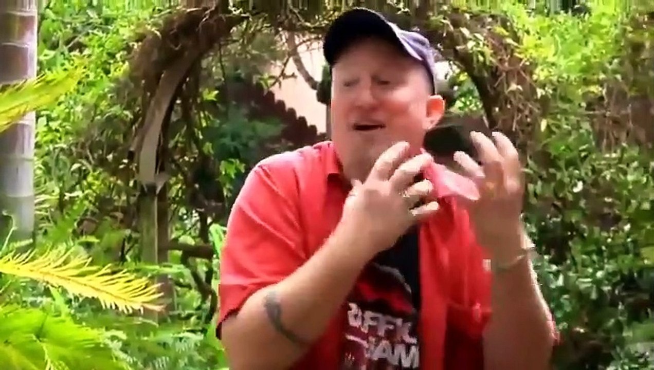 The Silent Children Documentary