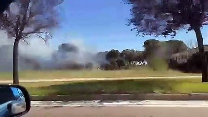 Incendio en Pinar de Jalón