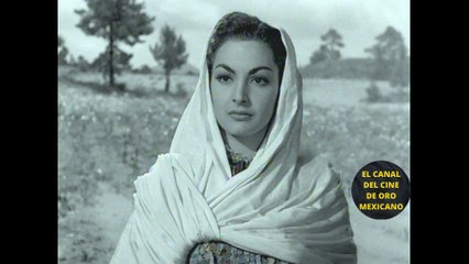 ⭐️LA BOFETADA REAL de ELSA AGUIRRE a PEDRO INFANTE en PLENO RODAJE⭐️