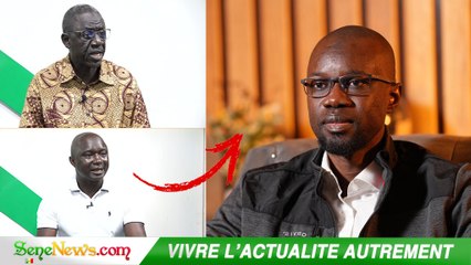 _C'est ce que Sonko doit dire_, les conseils de Babacar Touré et du Sergent Guèye
