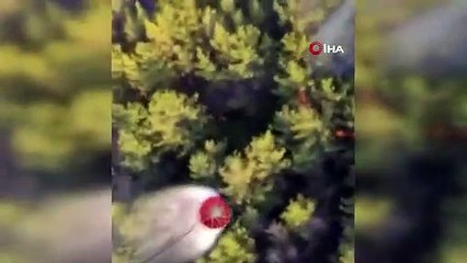 Muğla Milas'taki orman yangını kontrol altına alındı