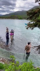 Moose Swimming in Russian River, Alaska