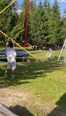 Dog Scores A Goal With Himself