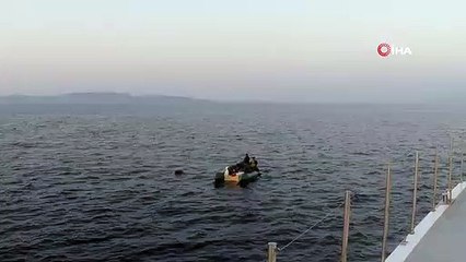 Voici comment les migrants repoussés par la Grèce ont été secourus