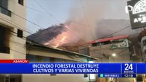 Abancay: incendio forestal consume 50 hectáreas de pastizales, cultivos y viviendas