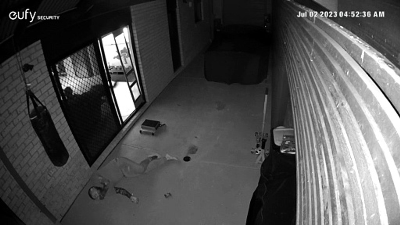 Man Slips While Letting the Dog In