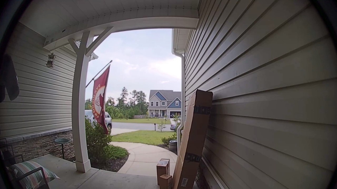 Snake Wants Inside Your House