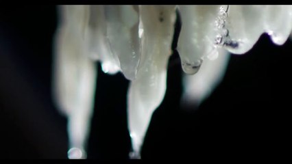 Lessons on the Improper Use of Objects | movie | 2022 | Official Trailer