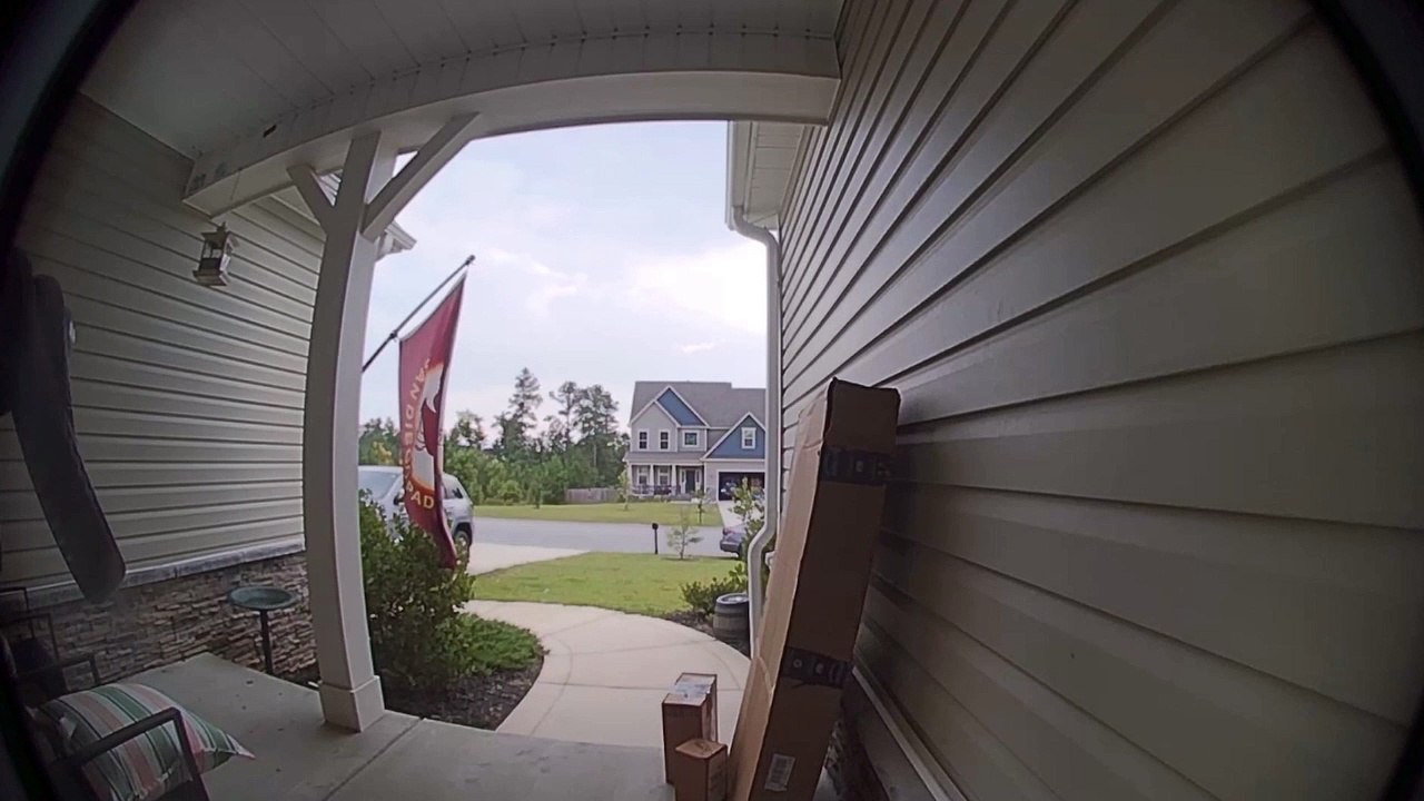 Snake Wants Inside Your House