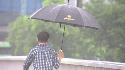 [날씨] 충청·전북·경북 '호우경보'...집중호우 계속 / YTN