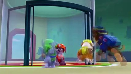 PAW Patrol Pups Save the Parade Clip #1 Marshall is a Balloon!
