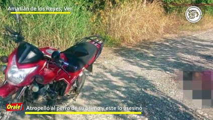 Breves Policiacas del 14 de Julio