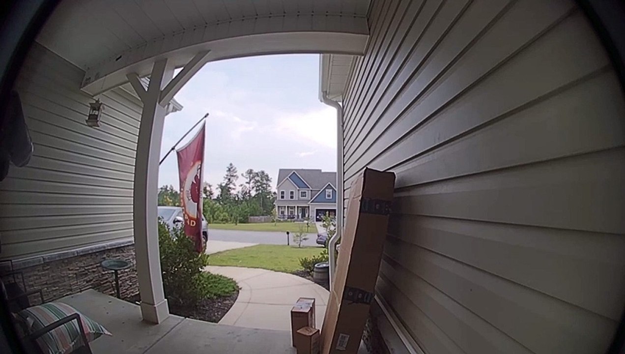 Snake Wants Inside Your House