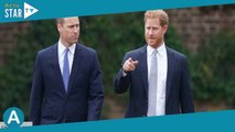 Harry et William sur la voie de la réconciliation ? Le mari de Meghan Markle aurait proposé une « tr