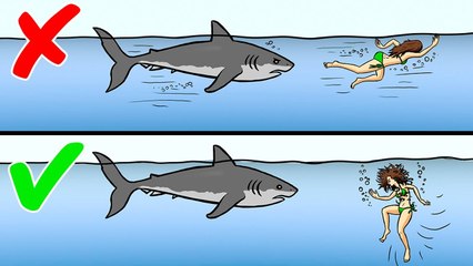 13 Tips On How To Survive Wild Animal Attacks