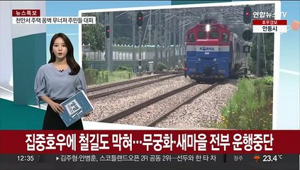 집중호우에 철길도 막혀…무궁화·새마을 전부 중단