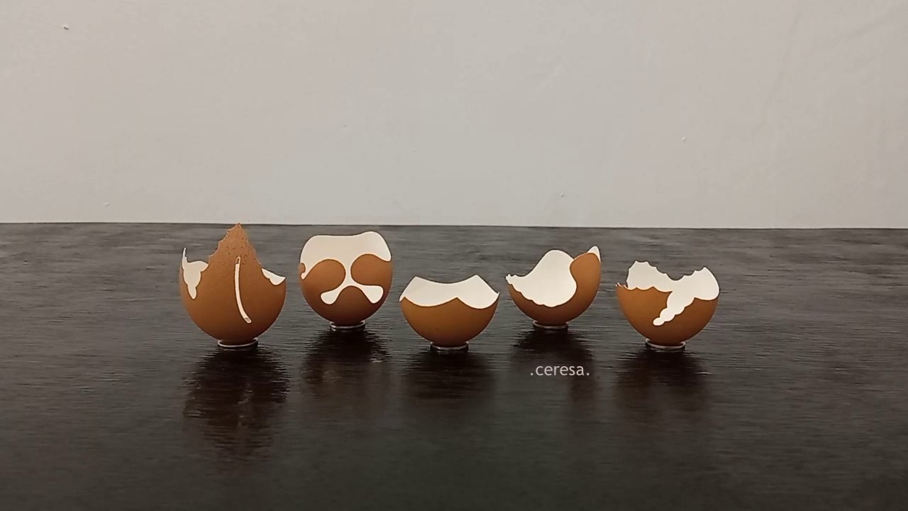 Kulit Cangkang Telur, Memanfaatkan yang tersisa, ke-2
