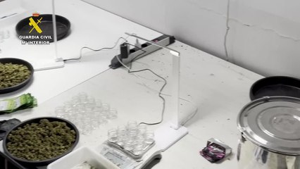 Nueve detenidos por vender marihuana en envoltorios de golosinas