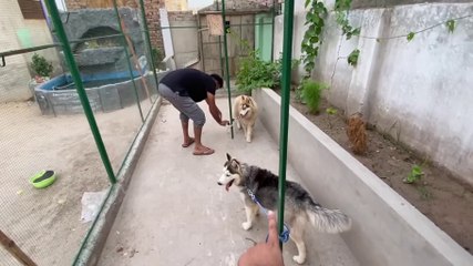 Ash Fiona Ko mjbori Main Master cage Main Bnd Krna pra