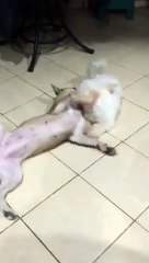 Hansel and Mallows Playing