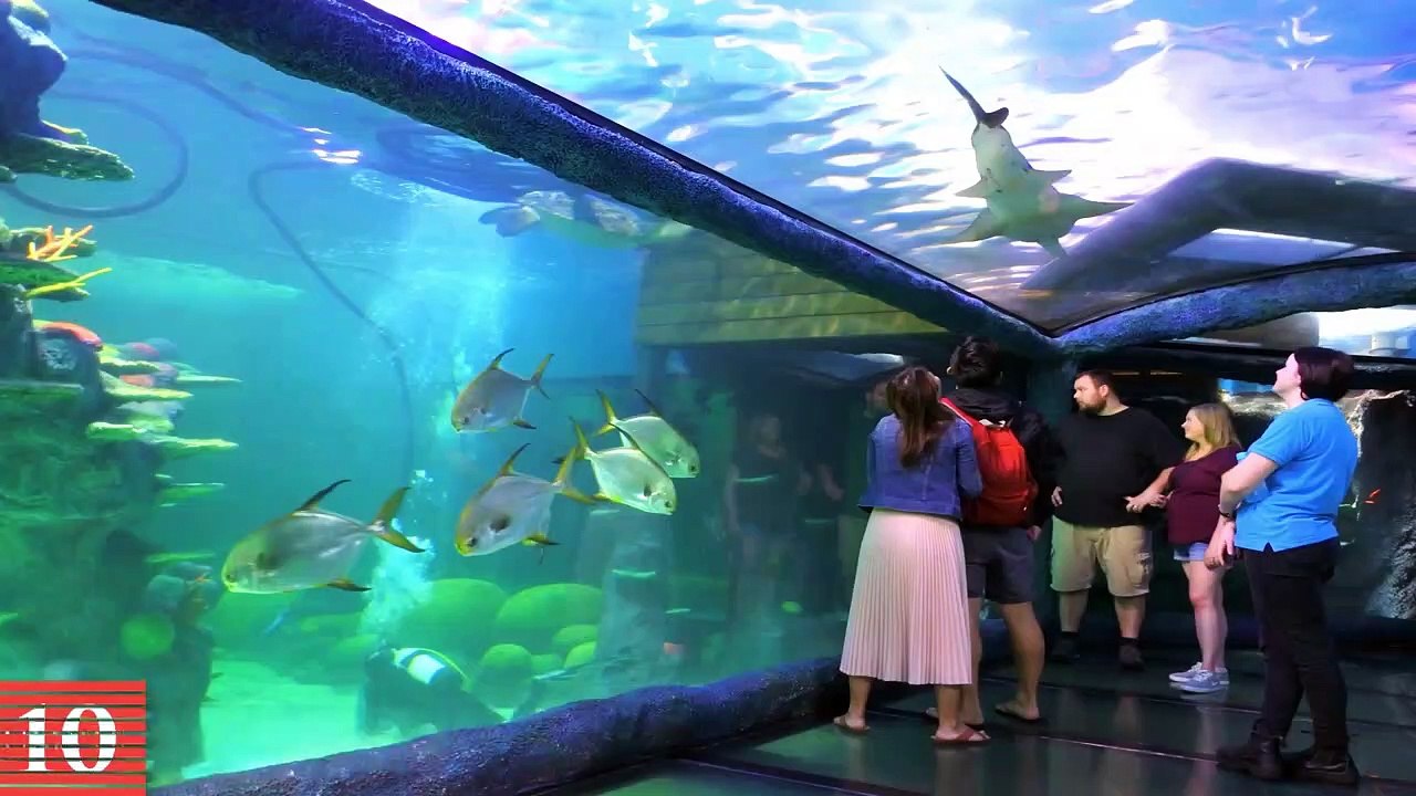 Exploring Sydney's Vibrant LGBTQ+ Scene: Best Ways to Experience Diversity and Inclusion