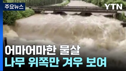 [제보영상] "어마어마한 물살" "나무 위쪽만 겨우 보여" 피해 속출 / YTN