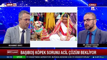 Başıboş köpek sorunu acil çözüm bekliyor