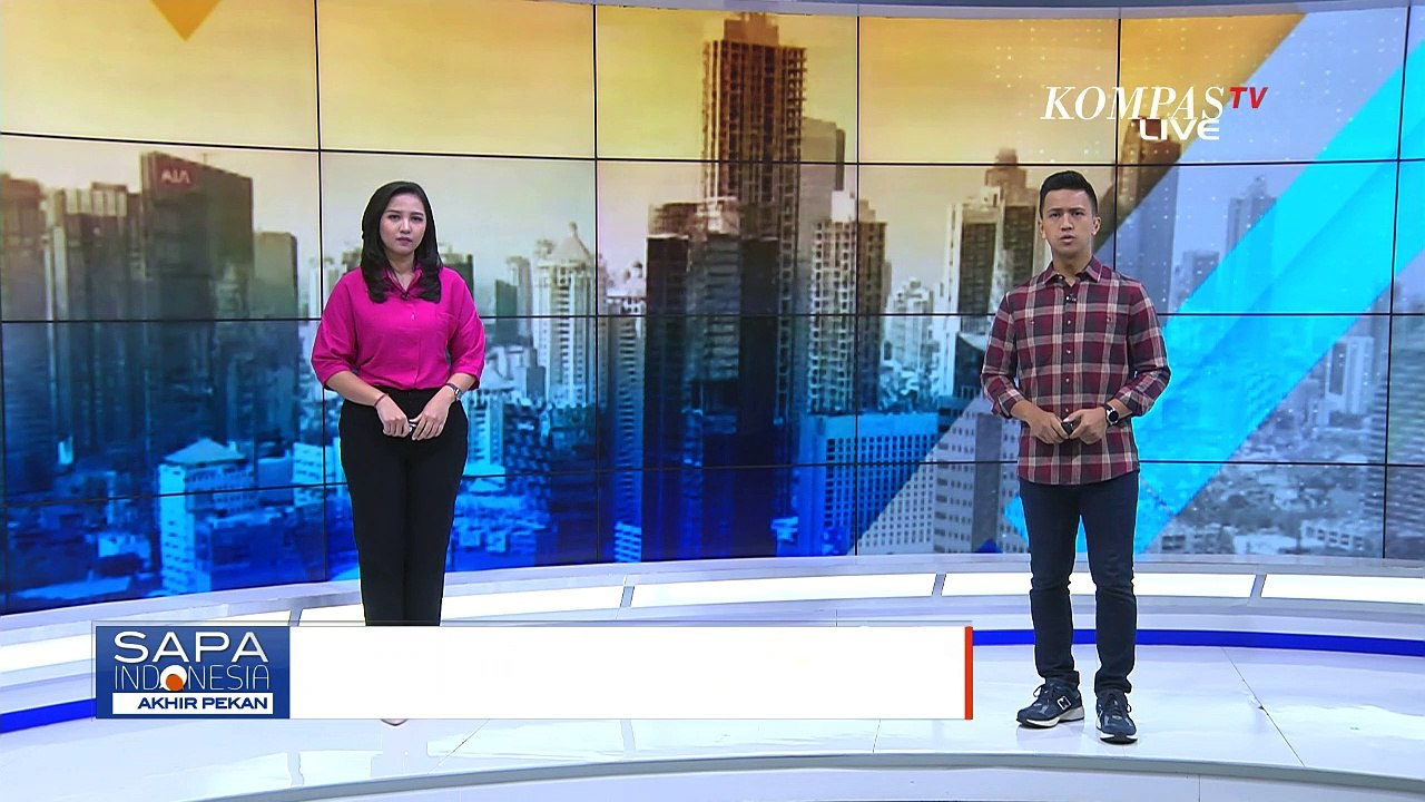 Antisipasi Kematian Mendadak, Ratusan Kucing di Sunter Divaksinasi dan Diberi Pengobatan