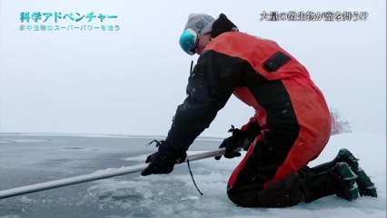 「氷中生物のスーパーパワーを追う」科学アドベンチャー