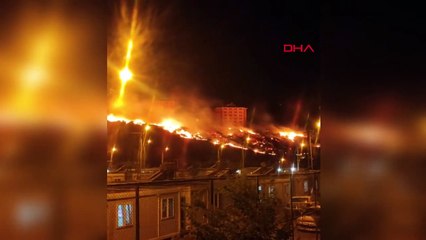 İslahiye'de çıkan yangında 300 zeytin ağacı zarar gördü